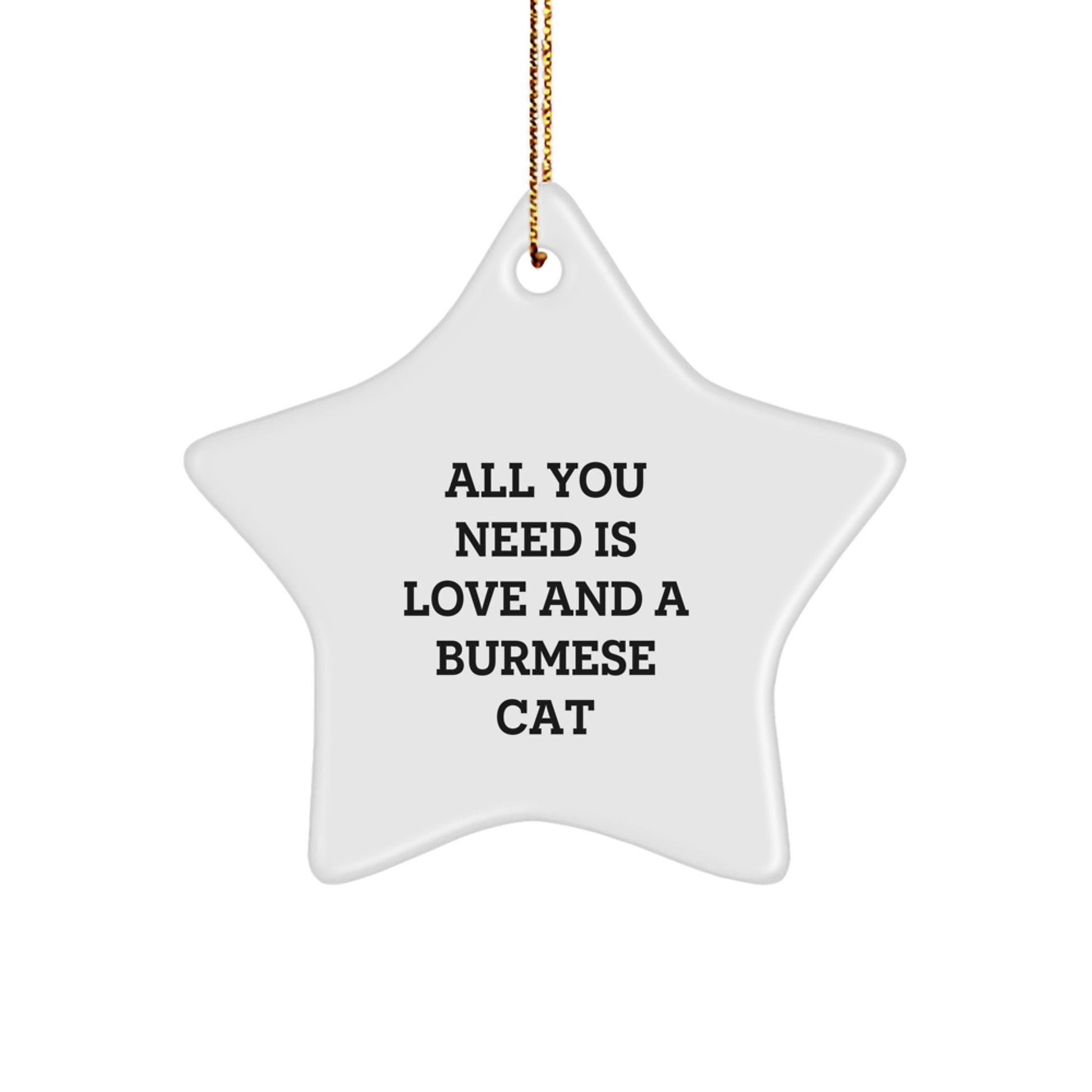Funny Burmese Cat Lover Gifts from Family to Friends Christmas Unique Star Ornament - Image 1