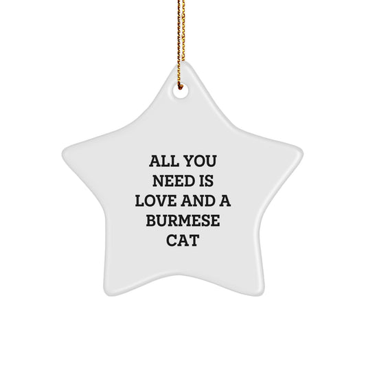 Funny Burmese Cat Lover Gifts from Family to Friends Christmas Unique Star Ornament - Image 1