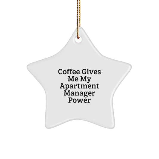 Funny Apartment Manager Star Ornament Gifts from Friends for Apartment Managers Christmas Unique Decorations - Image 1