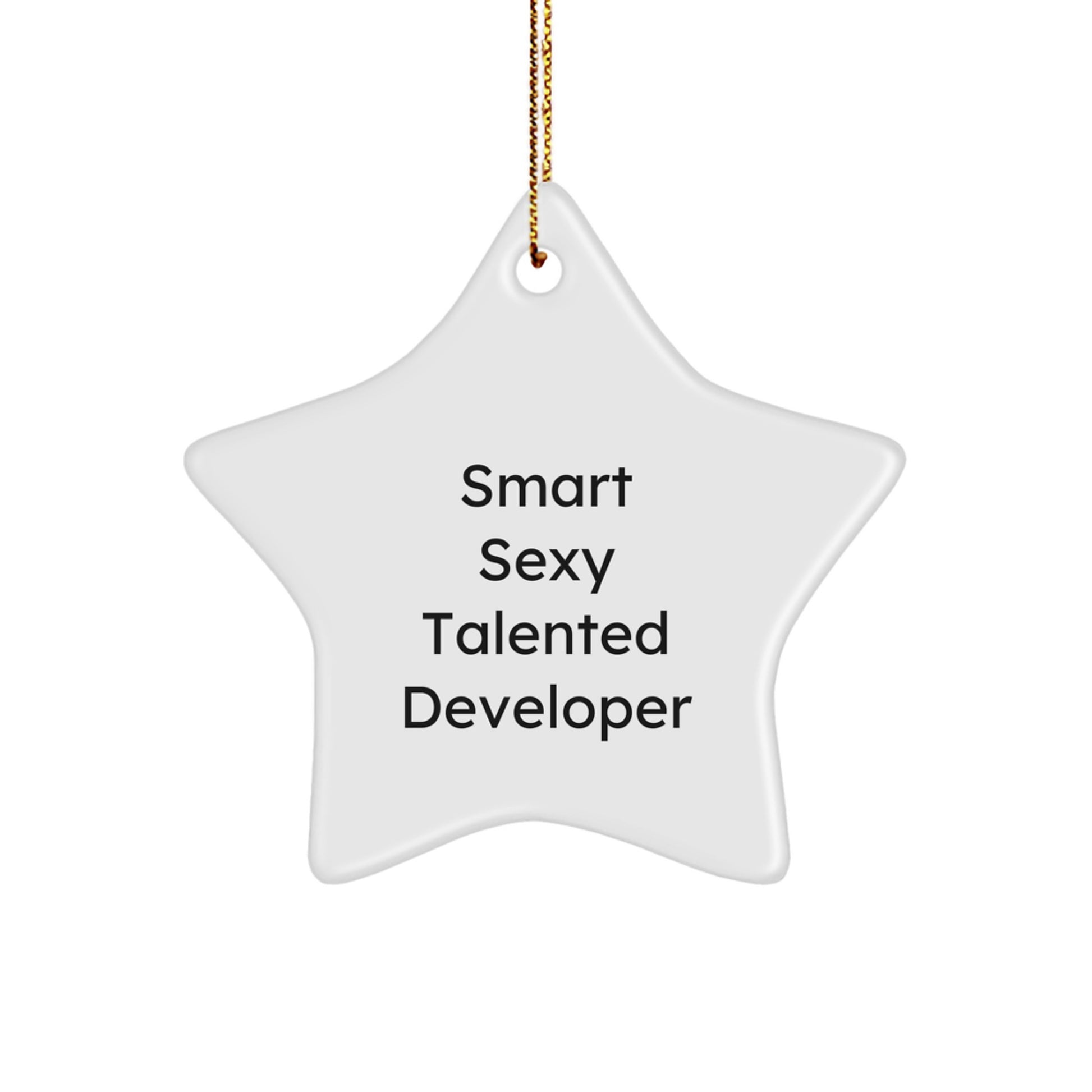 Funny Developer Gifts for Christmas - Smart Sexy Talented Quote Star Ornament Gifts from Friends - Image 1